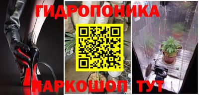 гашик Тверь