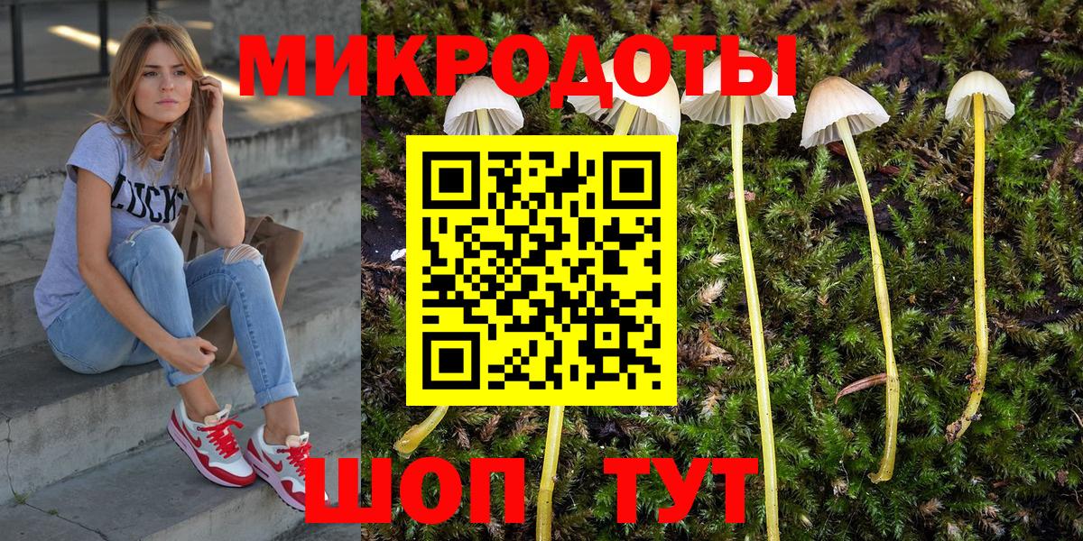 Набережные Челны  Псилоцибиновые грибы прущие грибы  Вход с VPN 