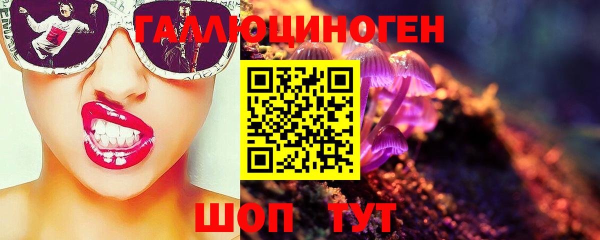Псилоцибиновые грибы Psilocybine cubensis Набережные Челны